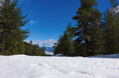 Similar image 18844940