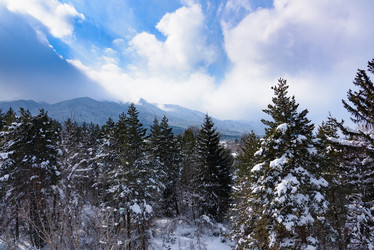 Similar image 18845022