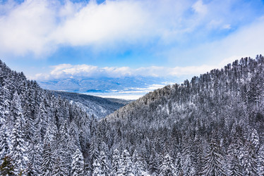 Similar image 18844989