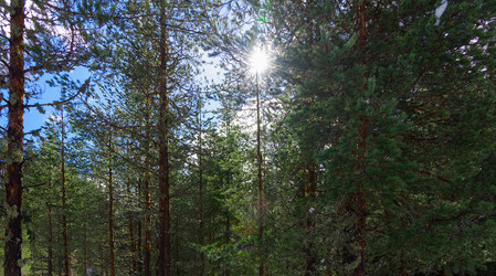 Similar image 18844980