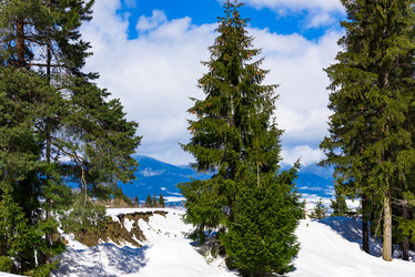 Similar image 18845073