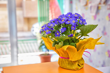 Similar image 18510658