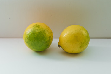 Similar image 18533869