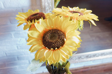 Similar image 18510640