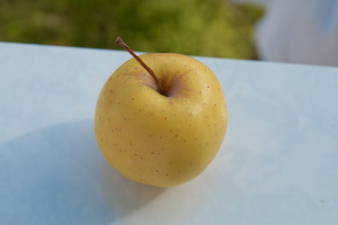 Similar image 18535830