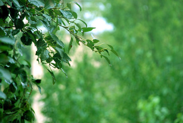 Similar image 18510689