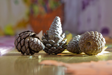 Similar image 18534796