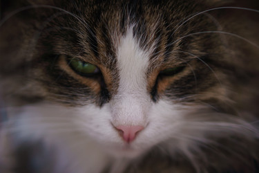 Similar image 18508375