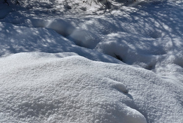 Similar image 18508436