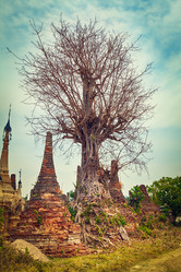 Similar image 18510355