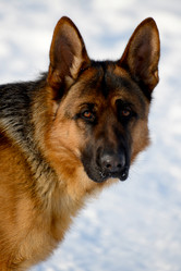 Similar image 18508705