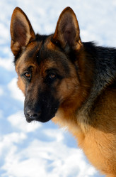 Similar image 18508706