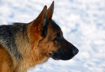 Similar image 18508707