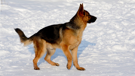 Similar image 18508708