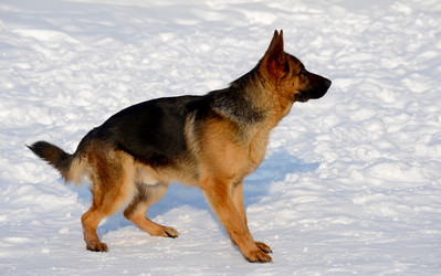 Similar image 18508709