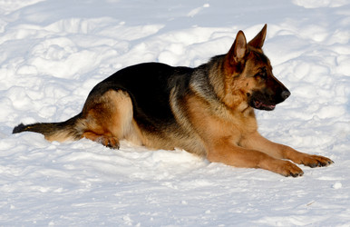 Similar image 18508711