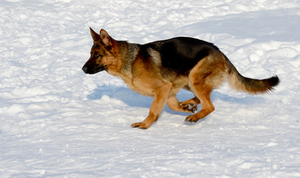 Similar image 18508712