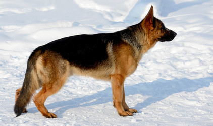 Similar image 18508720