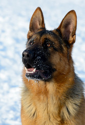 Similar image 18508734