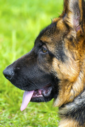 Similar image 18508778