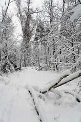 Similar image 18508805