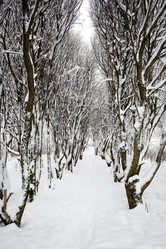 Similar image 18508822