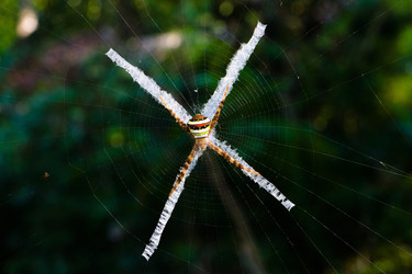 Similar image 18508823