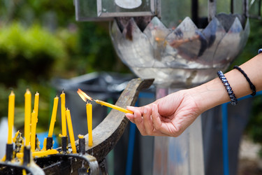 Similar image 18508832