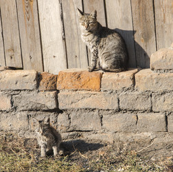 Similar image 18508846