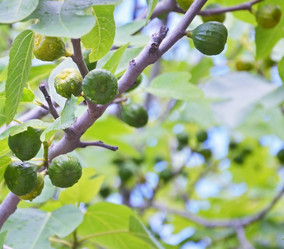 Similar image 18508847