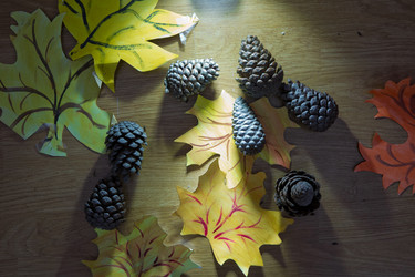 Similar image 18510651