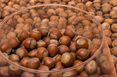 Similar image 18508231