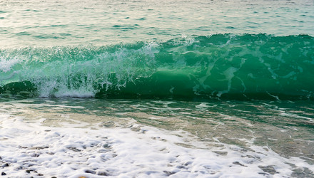 Similar image 18509849