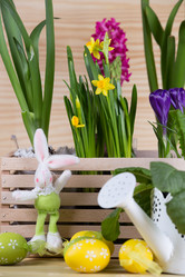 Similar image 18508454