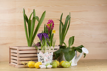 Similar image 18508481