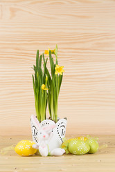 Similar image 18508451