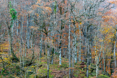 Similar image 18509873