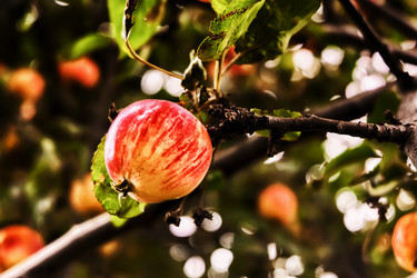 Similar image 18511665