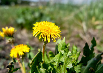 Similar image 18511682