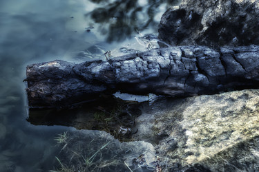 Similar image 18511668