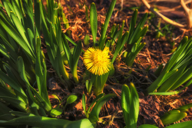 Similar image 18511669