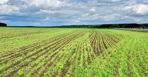 Similar image 18511670