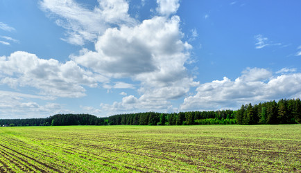 Similar image 18511672