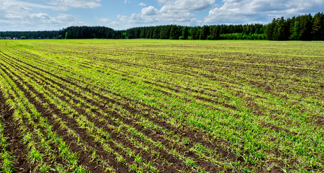 Similar image 18511673