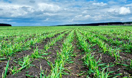 Similar image 18511684