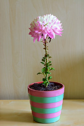 Similar image 18508863