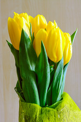 Similar image 18508864