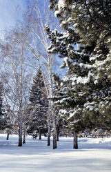 Similar image 18508484