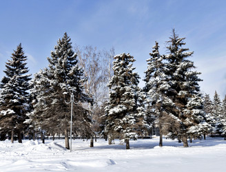 Similar image 18508495