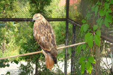 Similar image 18509138